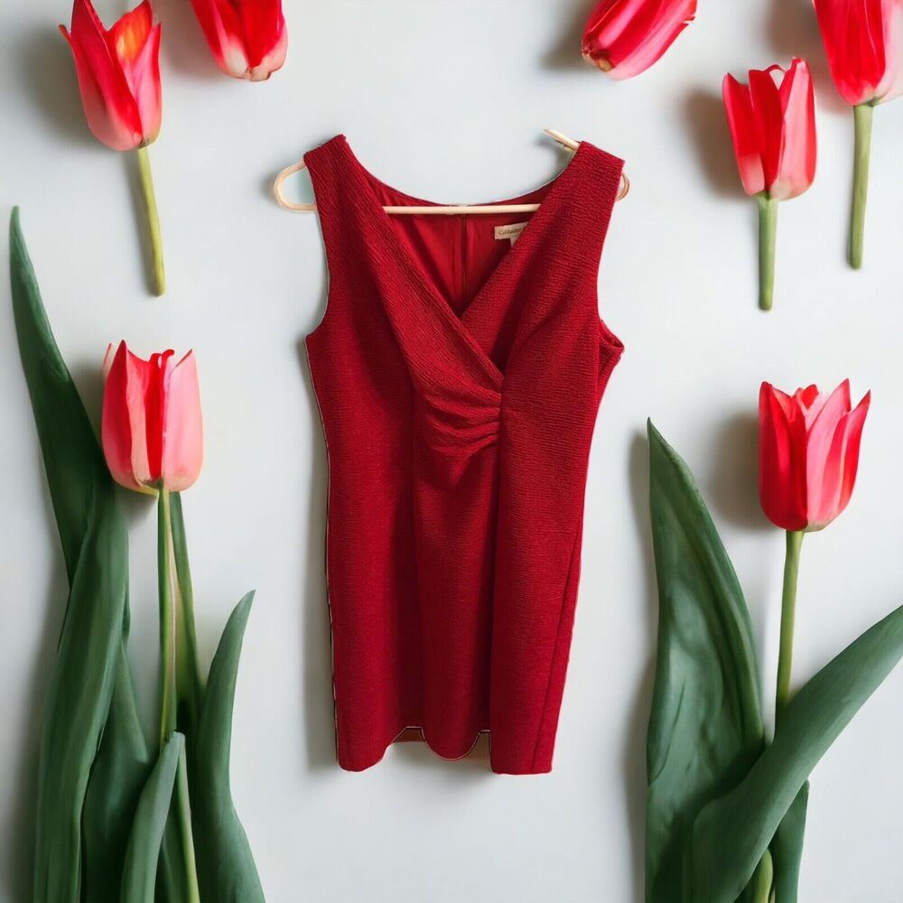 Coldwater Creek Size 10 Sheath Dress Red Textured Sleeveless Knee Length Career